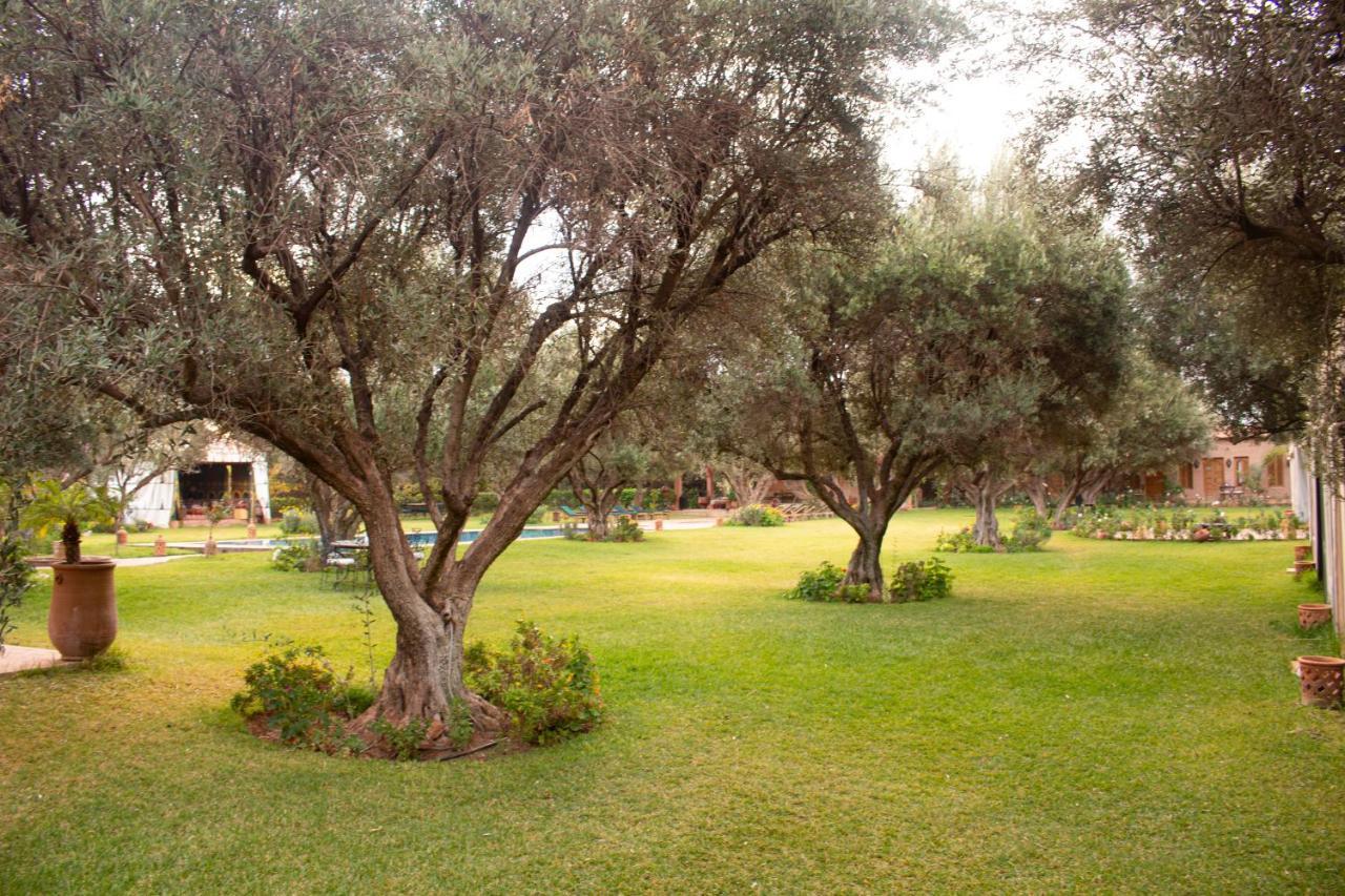 Greenlife Marrakech Маракеш Екстериор снимка